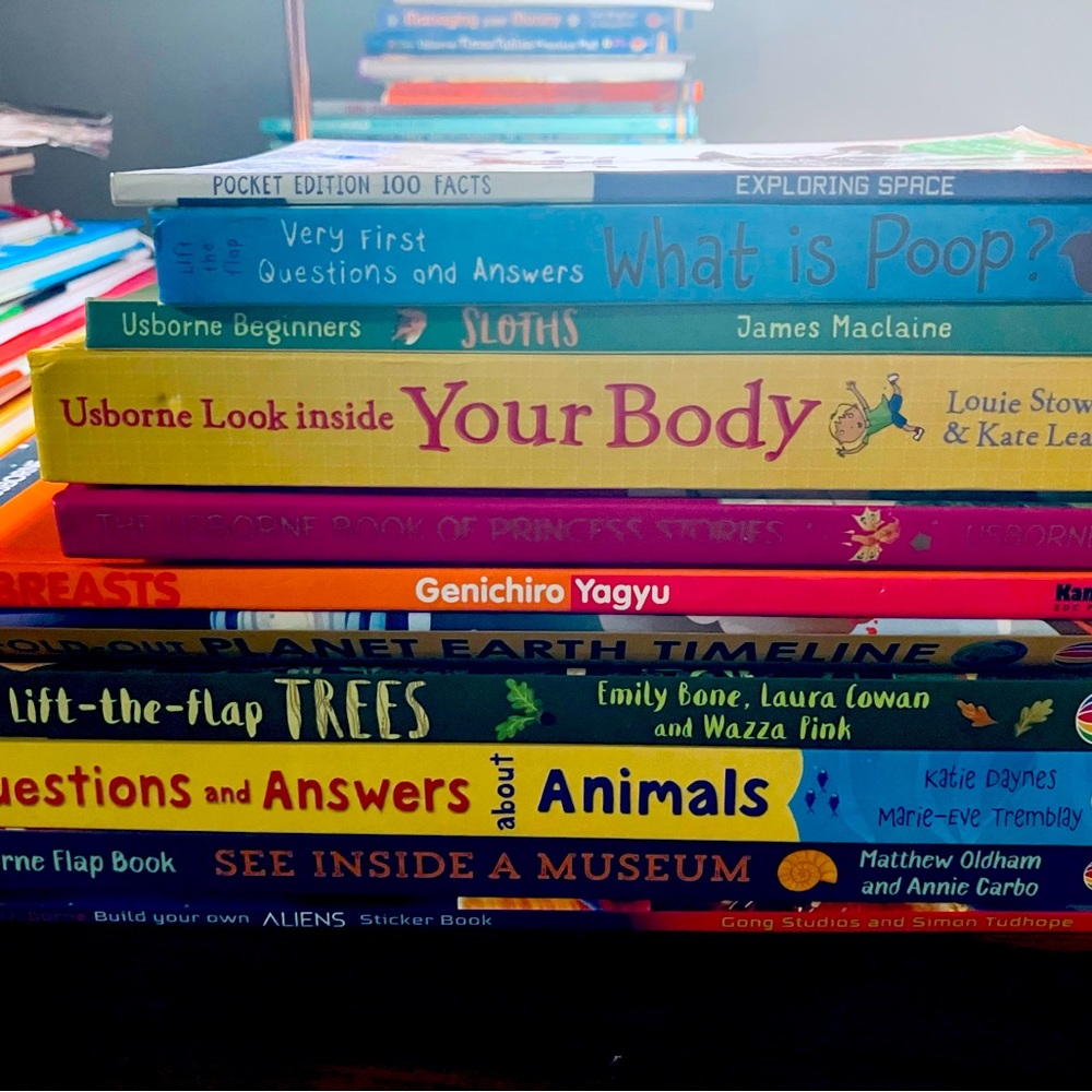 Lot of Usborne books - mostly like new or new. See all pics.